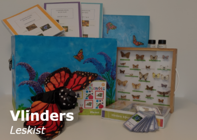 Vlinders